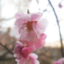 수다방 이미지