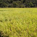 삼덕축산 이미지