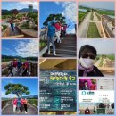 중부-현장-중부-2358 | 제천시민들, 코로나19 대응-제천시바르게걷기지도사들, 삼한의초록길걷기&amp;김창규(세명대 초빙교수.전...