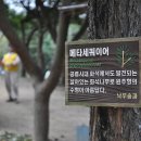 한터목장1 이미지