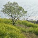 용흥중학교 이미지