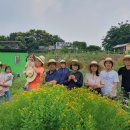 생기발랄 문화재단 프로그램 광명텃밭보급소 "나는 농부다" 이미지