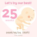 뼈대잇는닭발 해운대본점 | 아니 내가 임신을? - 24주~26주 : 돼지런 임산부의 최후