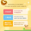 메이트 동물병원 이미지