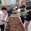 공존의 행복 네이버블로그