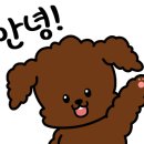 카페누베 이미지