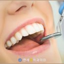 부산심미 이미지