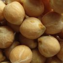 병아리 콩 이미지