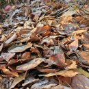 건강농장 이미지