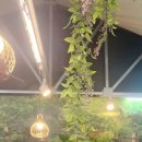 울진봄날애햇살 이미지