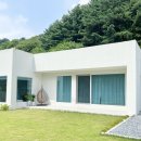 머스트화이트2동 이미지