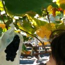 수희농장 이미지