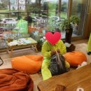 챨스하우스 이미지