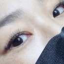 병점속눈썹 맛집 캣츠래쉬 방문해서 연장한 후기 💯