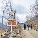 매화마을길 이미지