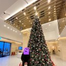 군산월명종합경기장테니스장 이미지