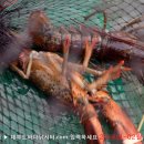 솔하우스 이미지