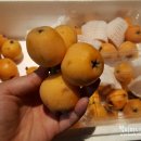 조흥농장 이미지