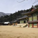 대한불교 진여원 이미지