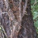 송담3로 이미지