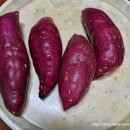 아어가지 이미지