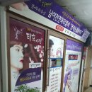 사파동264 이미지