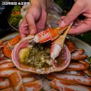 대륙초밥 | 신대륙횟집 속초본점 강원 속초 물회 추천