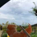 달서별빛캠프 캠핑장(오토캠핑장) 이미지