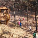 연암공원 유아숲체험원 이미지