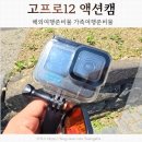 고프로12 액션캠 사용후기 가족해외여행 필수템