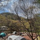 다리안 황토길 | 단양 다리안관광지 캠핑장 D구역 12데크 후기