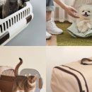 행운켄넬 이미지