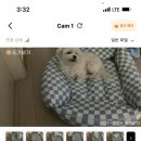 강남대로97길 32 이미지