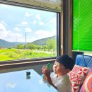 콩드립로스터스 이미지