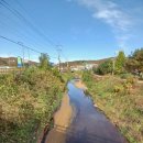 진위천 방아리 이미지