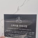 슬로우오션 풀빌라 펜션 | 요새 핫한 펜션! 포항 슬로우오션&amp;히든포레스트 풀빌라