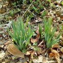 금리마을펜션 이미지