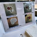 삼국유사교육문화회관 공연장 | 마술의 환상적인 만남! 원더매직 최형배 마술사의 오리지널 과학마술콘서트 시즌1 대구 봉산문화회관 후기