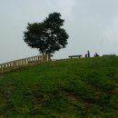 은서목장 이미지