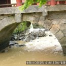 역전꼬막 이미지