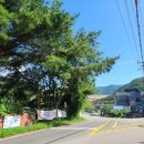 물안개 피는 마을,들꽃향기 이미지