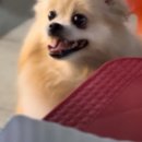 주싸롱 이미지