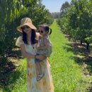 정양농장 이미지