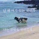 2026년 1분기 기록