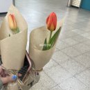 호랭이꽃집 이미지