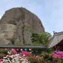 남부-1(여성회관 앞) 이미지