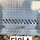 비에이치씨 구미임오점 이미지