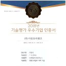 아웃트리캠프