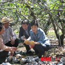 박상수농장 이미지