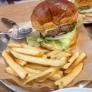 [B&amp;G커피] 일산 수제버거🍔 맛집 브런치카페 I 비앤지커피
